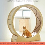 350000원 ~ 집사의반격 스타캣휠 1060 캣휠 물고기캣휠, 1개, 브라운[영업일기준7일내출고] ~ #캣휠가격 #무소음캣휠