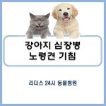 #리더스#동물병원#24시#리더스동물병원##animal#hospital#dog#말티즈#심장병#심장#초음파#노령견#댕댕이#멍스타그램##양천구#강서구... 