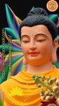 Ghim của 보 우 trên 송광사 | Hình ảnh, Diễn viên, Hình