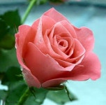 Rainbows & colours i love에 관한 56개의 최상의 Pinterest 이미지 Rainbows & colours i love