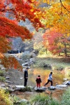 만고절색 호남의 소금강··· 모든풍경이 그림이네 Autumnㆍ SunChangㆍKorea(순창 ㆍ강천산) | 풍경 그림, 자연 그림, 풍경화