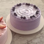로맨틱스탠다드_작은 케이크 가게 在 Instagram 上发布：“12.13 ⛄️ #cake#블루베리생크림케이크 💜 -오늘의 디저트는... 