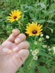 코코 엘리스 네일(COCO Alice Nails) | All about Nails..에 있는 AliceBlossom님의 핀