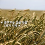 ★ 풍요로운 삶을 위한 7가지 지혜 ★ 인생(人生)에 있어 성공(成功)이란, 기쁨이 오래도록 지속되고, 가치 있는 목표가 점진적으로 완성되는... 