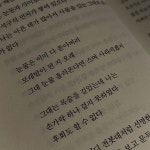 눈물은 이미 다 쏟아버려 모래밭이 된 지 오래 - 2023 | 구절, 인용문, 책