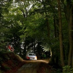 - 어두운 숲 터널을 지나, 결승선을 향해 달리다! - #darkforest #tunnel #dontfear #race #carwithoutlimits #i20WRC #German... 
