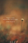 너