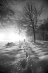 Neige에 관한 29개의 최상의 Pinterest 이미지 | 아름다운 장소, Winter wonderland 및 겨울 Neige