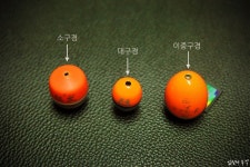 찌낚시 초보강좌, 반유동과 전유동 채비의 기본원리
