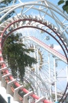 Childrens Grand Park 어린이대공원