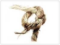 Ǫ2.JPG 670×503픽셀