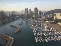 부산 마린시티의 꽃 부산호텔 파크하얏트부산 | 부산, 여행, 한국