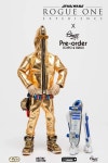 C-3PO & R2-D2 STAR WARS ROGUE ONE x CHOGY 최승겸 Block23 C-3PO & R2-D2 STAR WARS ROGUE ONE x CHOGY 최승겸 Block23 | Star wars... 