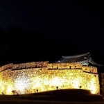 고창복분자 _ 해풍복분자 _ 복분자에 있는 고창흙쟁이님의 핀