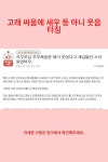 고래 싸움에 새우 등 아니 웃음 터짐