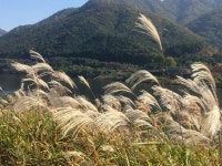 북한강 자전거 길에서.  청평부근