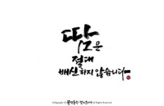 캘리그라피 명언 손글씨