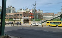 29개의 중간 과제 아이디어 - 2021 | 중간, 횡단보도, 민들레