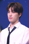 디노 dino