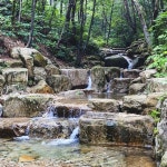 📍국립화천숲속야영장 강원도 화천군, 가깝고, 시간만 많다면 계속 다니고싶은 캠핑장 피톤치드 가득한 숲과 시원한 계곡🌲 깔끔한 관리까지!... 