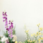 #어나더블룸 #어나더블룸꽃장식 #카페꽃장식 #카페인테리어 #flowerartwork #공간장식… in 2024 | Installation