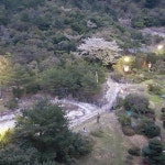 고창복분자 _ 해풍복분자 _ 복분자에 있는 고창흙쟁이님의 핀