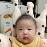 Pin page 소영 / 엔디어 on Instagram: 농장동물 책을 제일 좋아함 ㅋㅋ #134일 in 2024 | Mango, Melon, Carrots