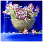 신종식 화백의 색 맑은 수채화 그림