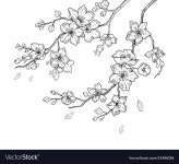 「그림강좌」おしゃれまとめの人気アイデア｜Pinterest｜요루레히후