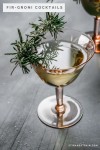 Fir-Groni | Recipes from heaven, Winter cocktails, Palate cleanser