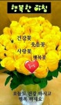 한사랑산악회에 있는 내사랑은흑백사랑님의 핀 | 좋은 아침 인사, 아침 인사, 문구