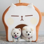 [스토어봄] 빵냥이 식빵 하우스 [스토어봄] 빵냥이 식빵 하우스 | Cat room, Dog house, Animal photo