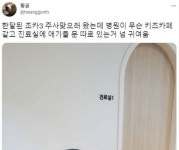 병원이 무슨 키즈카페 같고 .jpg ㅎㄷㄷ