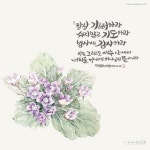 [말씀 배경화면] 항상 기뻐하라 (데살로니가전서 5장 16~18절) : 네이버 블로그 | 데살로니가전서, 배경화면, 성경 구절