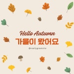베이지 컬러풀한 가을 낙엽 잎 일러스트 가을 홍보 인스타그램 포스트🧡