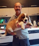 MOSCOW WATCHDOG  :  Másenyka에 있는 Monica Holczman님의 핀 | 애견