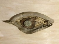 Driftwood eye