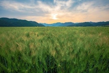 대한민국 경상북도 안동시 도산면 의촌리 | Nature travel, Landscape photos, Nature