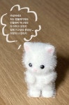 당돌한 밥풀떼기 | 숄