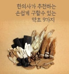 한의사가 추천하는 약초  9가지 - 2020 | 약초