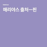 매리야스 출처ㅡ핀