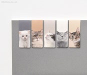 Pin page Bookmark에 있는 DubuDumo님의 핀 - 2024