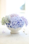 Pin page Pin by 라온하제 on 컵수국 | Flower arrangements, Beautiful flowers, Flowers