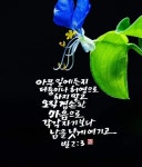 #성민ㅡ김성원 on Instagram: [2022.9.16,금/말씀묵상] 아무 일에든지 다툼이나 허영으로 하지 말고 오직 겸손한 마음으로 각각... 