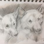 #크리에이티브 #드로잉 #최미림화실 #그림 #스케치 #아트 #페인팅 #미술 #취미 #동물 #friends... in 2020 | I love cats, Animals, Dogs