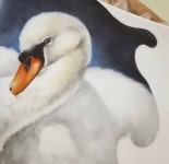 #포슬린페인팅  분위기 있는 백조 페인팅 마지막 골드라인까지 예쁘게 완성해 봅시다😘💕 . 오늘도 우리는 #즐거운포슬린... 