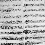 T117 B texture 김지원 42