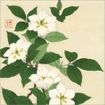 Pin by 범중 김 on 그리기 | Poster art, Botanical art, Japanese art