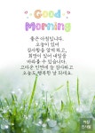 좋은 아침입니다.