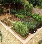 15+ Lovely Homestead Farm Garden Layout and Design Ideas #gardens #gardendesign #gardenideas | 정원 가꾸기, 옥상 정원, 채소 정원